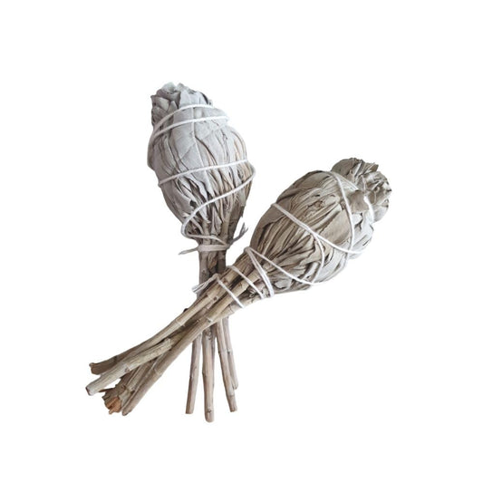 2 x Premium White Sage Torch Smudge Stick - 10cm for Spiritual Cleansing and Purifying in a perfect Bulb style for ease when cleansing. From Ancient Wisdom